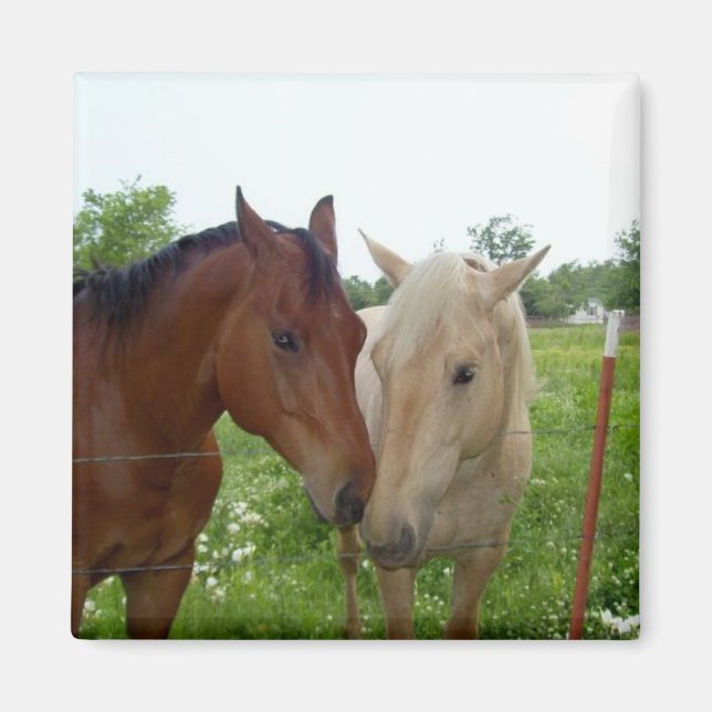 Imán Mejor Amigos de BFF para siempre - Caballos (Frente)