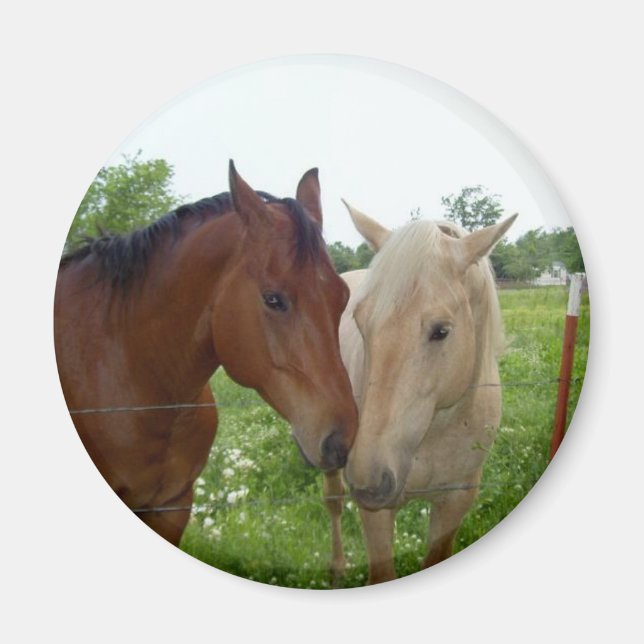 Imán Mejor Amigos de BFF para siempre - Caballos (Frente)