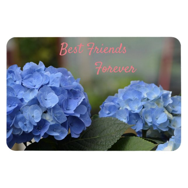 Imán Mejor Amigos para siempre Hydrangeas (Horizontal)