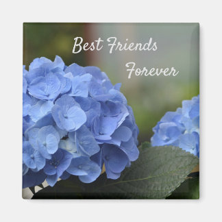 Imán Mejor Amigos para siempre Hydrangeas