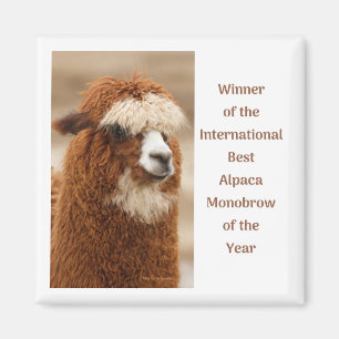 Imán Mejor ceja única de alpaca