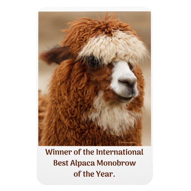 Imán Mejor Ceja Única de Alpaca (Vertical)