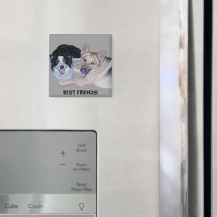 Imán Mejor Compañero de Amigos Collie y Pastor Alemán