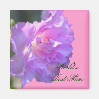 Imán Mejor Magnate de fotos de flores de color rosa de 