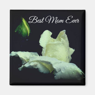 Imán Mejor Mamá De La Flor Blanca Rosebud