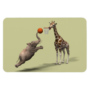 Imán Mejor Puntero de Baloncesto