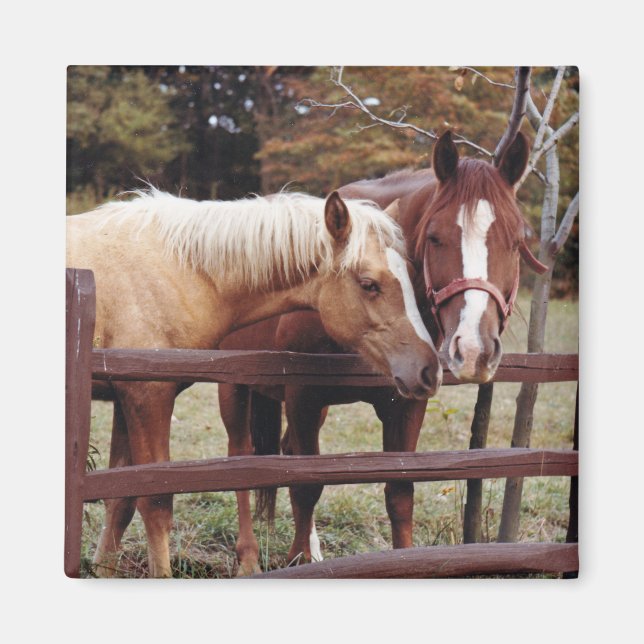 Imán Mejores amigos (Frente)