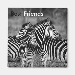 Imán Mejores amigos