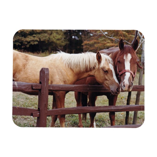 Imán Mejores amigos (Horizontal)