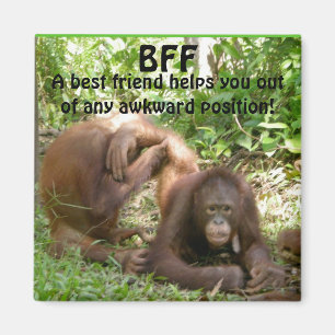 Imán Mejores amigos de BFF para siempre