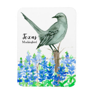 Imán Melodía de flores de azul de Texas Souvenir