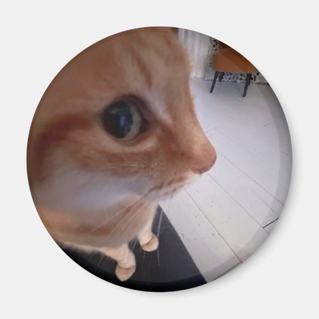 Imán meme de gato con mirada de reojo (Frente)