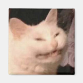 Imán Meme de gato Cringe