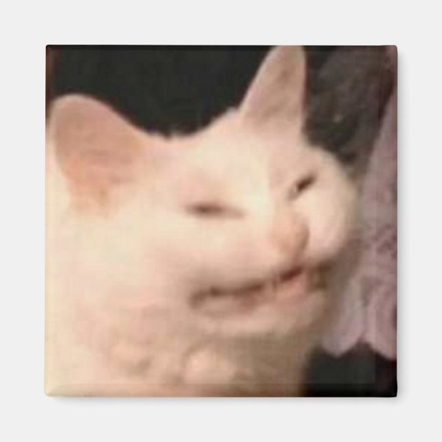 Imán Meme de gato Cringe (Frente)