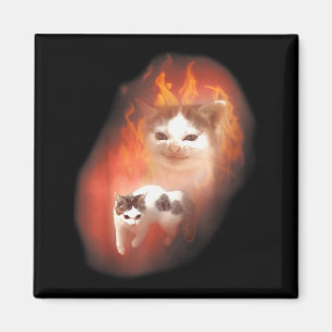 Imán Meme de Gato Enojado Divertido Gato Tonto Amante d