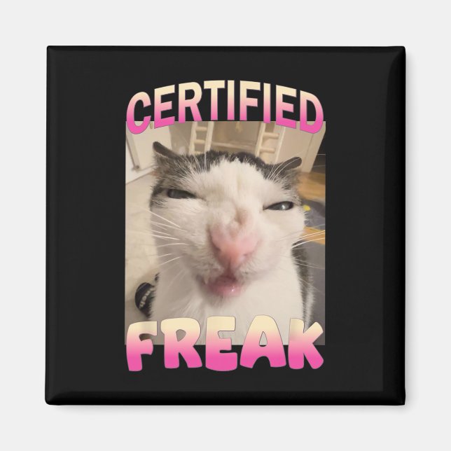 Imán Meme de gato falso certificado Memes ofensivos Gra (Frente)
