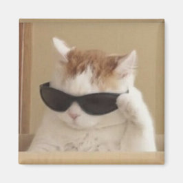 Imán Meme de gato genial