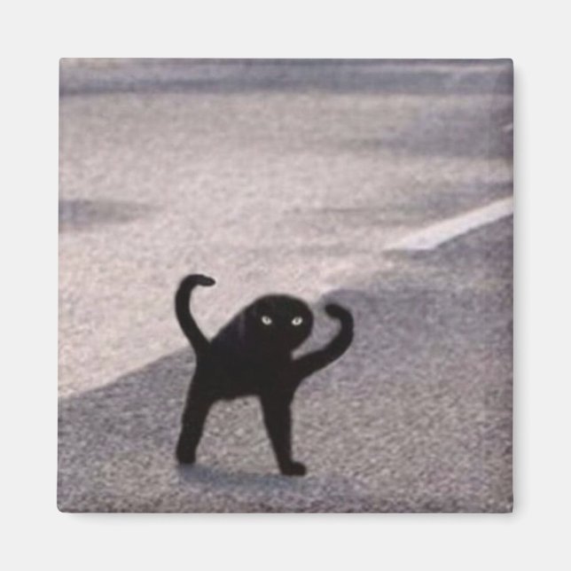Imán Meme de gato maldito (Frente)