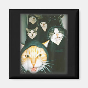 Imán Meme de la pandilla de gatos Divertidos Gatos Caót