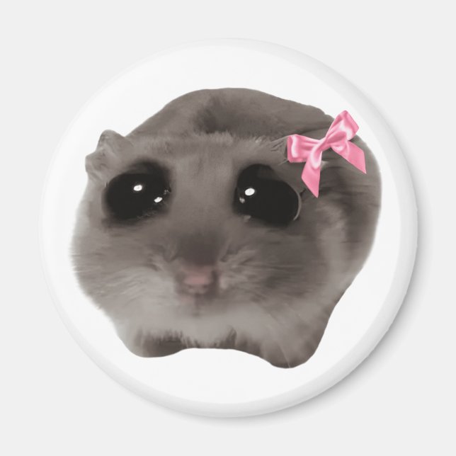 Imán Meme de Magnet Coquette Sad Hamster (Frente)