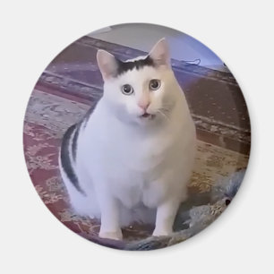 Imán Meme de Magnet Eh Cat