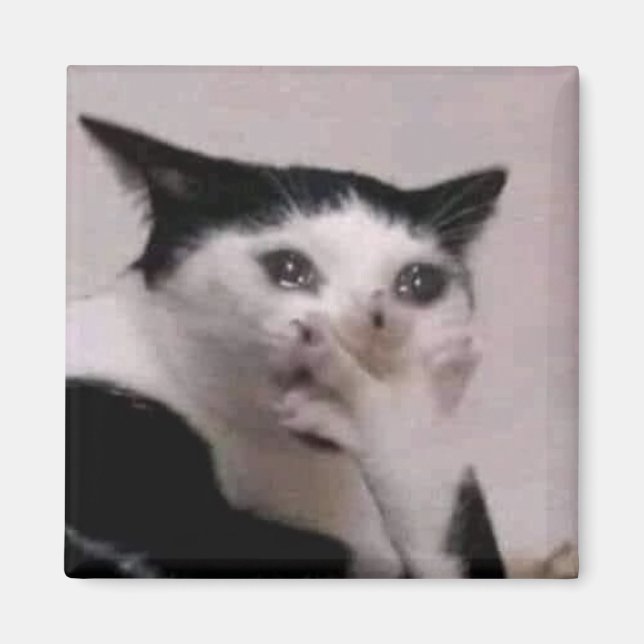 Imán Meme del Gato que Jadea (Frente)