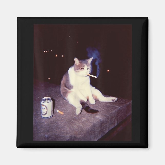 Imán Meme divertido Cigarette Kitten Brainrot Silly (Frente)
