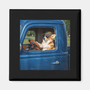 Imán Meme divertido de corgi gracioso perro conduciendo