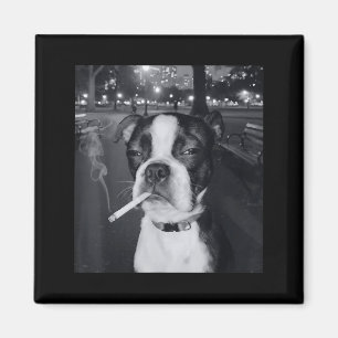 Imán Meme Divertido de Perro Fumando Cigarrillo Meme de