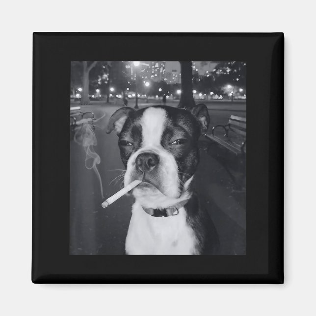 Imán Meme Divertido de Perro Fumando Cigarrillo Meme de (Frente)