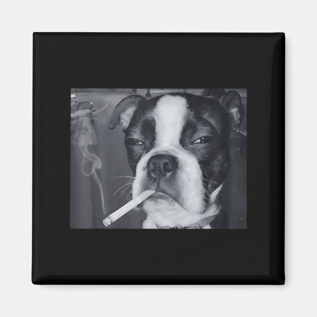 Imán Meme Divertido de Perro Fumando Cigarrillo Meme Pe (Frente)