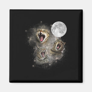 Imán Meme maldecido de tres gatos malvados de luna