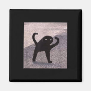 Imán Memes De Gato Maldito Maldito Gato Enfadado Como B