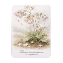 Memoria Evanescens – La Floración Olvidadiza Botán