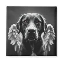 Memorial Angel Dog Labrador