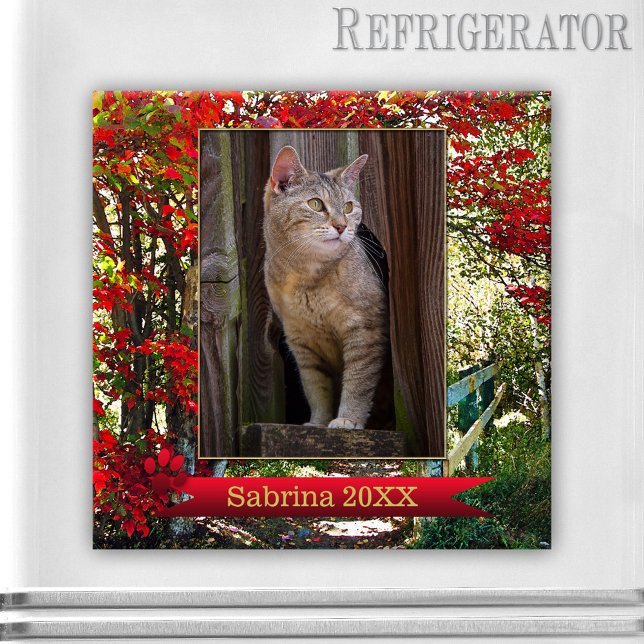 Imán Memorial de gato o marco fotográfico de Keepsake (Photo magnet featuring a picture of your own cat(s) on a forest scene with colorful fall leaves)