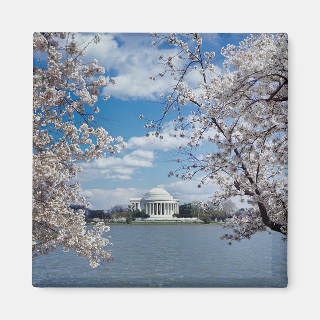 Imán Memorial de Thomas Jefferson con flores de cerezo (Frente)