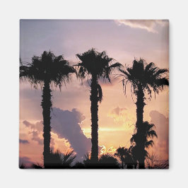 Imán Memories of Palm Trees at Sunset | Limassol Cyprus