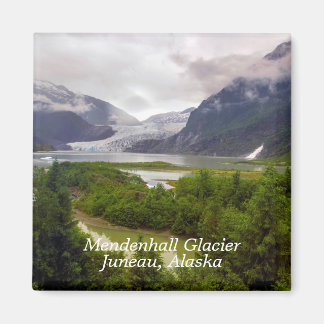 Imán Mendenhall Glacier Juneau Alaska Magnet