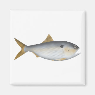 Imán Menhaden argentino