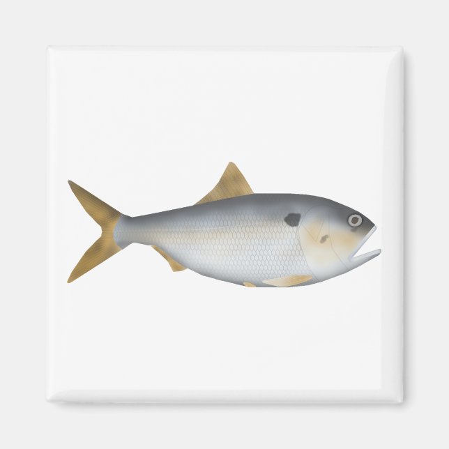Imán Menhaden argentino (Frente)