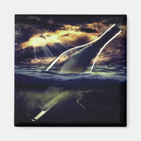 Mensaje en una botella