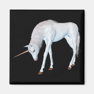 Imán Mentalidad de escucha