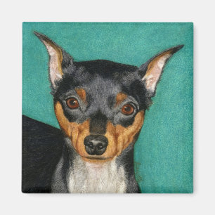 Imán Mentalidad de Pinscher