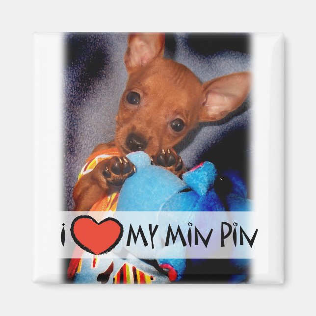 Imán Mentalidad de Pinscher (Frente)