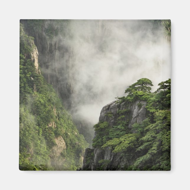 Imán Mentira entre los picos y valles del Gran Cañón (Frente)