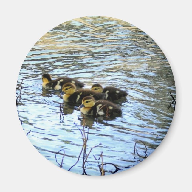 Imán Mentón De Patos De Bebé (Frente)