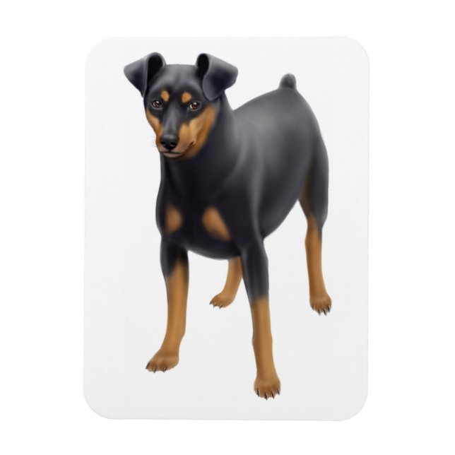 Imán Mentón Pinscher Min Pin Premium Magnet (Vertical)