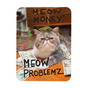 Imán Meow Money, Meow Problemz