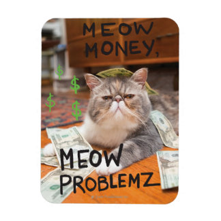 Imán Meow Money, Meow Problemz